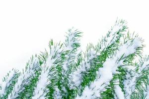 las ramas del árbol cubierto de nieve árbol de navidad foto