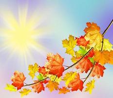 autumn landscape with bright colorful foliage. Indian summer. photo