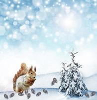 la ardilla en el bosque de invierno. tarjeta de año nuevo. foto