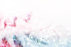Frozen winter forest with snow covered trees. photo