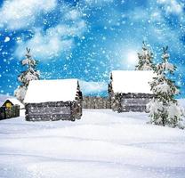 The village in winter forest photo