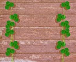 Green clover leaves on a background summer landscape photo