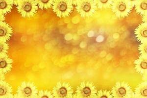 Natural floral background. Bright flowers of sunflowers. photo