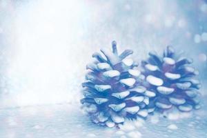 Pine cones in the snow. Happy New Year and Merry Christmas. photo