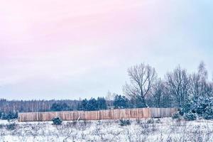 Frozen winter forest with snow covered trees. photo