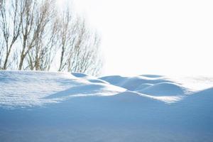 Frozen winter forest with snow covered trees. photo