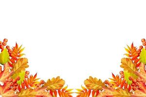 Colorful autumn foliage isolated on white background. Indian summer. photo