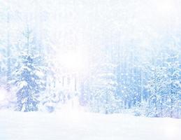woods. Winter landscape. Snow covered trees. christmas background photo