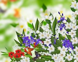 jasmine flowers, iris and lily of the valley photo