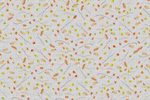 Bright colorful autumn foliage. Abstract background. Composition. photo