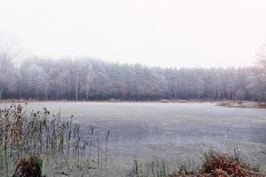 frozen winter lake photo