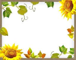 Frame of flowers and foliage photo