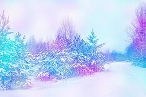 Frozen winter forest with snow covered trees. photo