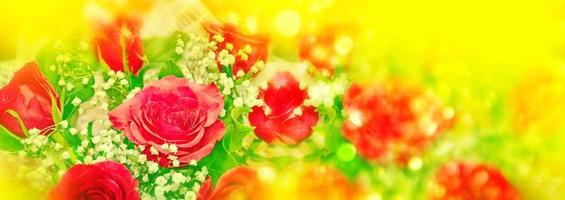 Colorful bright flowers rose buds. Floral background. photo