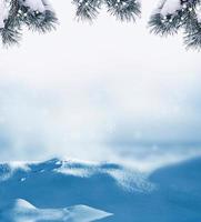 forest in the frost. Winter landscape. Snow covered trees. photo