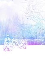 Winter forest. Winter landscape. photo