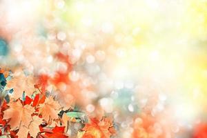 abstract background of autumn leaves photo