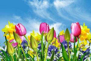 flores de primavera sobre un fondo de cielo azul con nubes foto