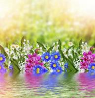 Background of flowers. delicate spring flowers photo