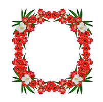 circle frame flowers photo