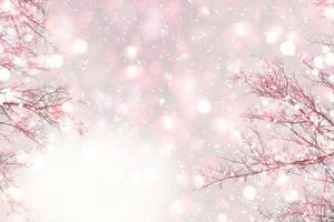 Frozen winter forest with snow covered trees. photo