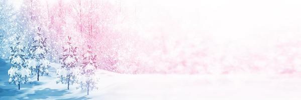 Frozen winter forest with snow covered trees. photo