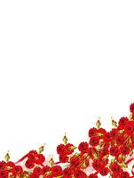 Holiday card. Red roses on a white background photo