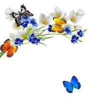 rama de flores de jazmín y mariposas foto