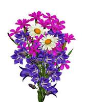 bouquet of daisies, bluebells and clove isolated on white background photo