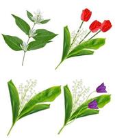 Spring flowers lily of the valley, tulips and jasmine isolated on white background. photo