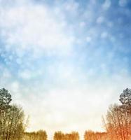 Frozen winter forest with snow covered trees. photo