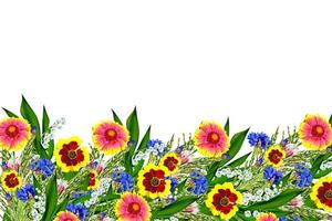 Bouquet of colorful flowers of Gaillardia. delicate flowers isolated on white background photo