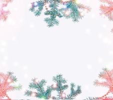 Festive Christmas frame with snowy spruce branches photo