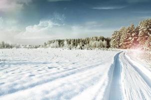 bosque de invierno paisaje. foto