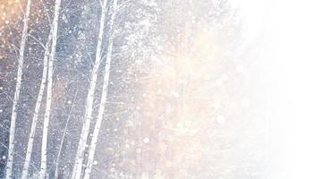 Frozen winter forest with snow covered trees. photo