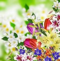 Floral background. Nature. photo