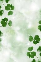 green clover leaves. natural background. photo