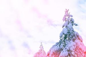 Frozen winter forest with snow covered trees. photo