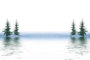 Frozen winter forest with snow covered trees. photo