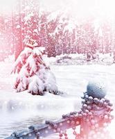 tarjeta de Navidad. paisaje de invierno árboles cubiertos de nieve foto