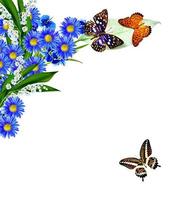 Flowers and butterflies isolated on a white background photo