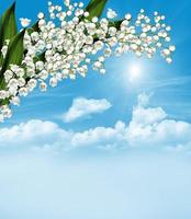 The branch of white flowers lily of the valley on a background of blue sky with clouds photo