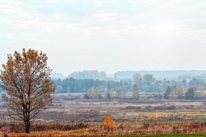 Autumn landscape. leaves. Colorful trees. Indian summer photo