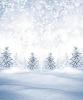 winter snow. Christmas card. photo