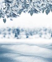 abstract winter background photo