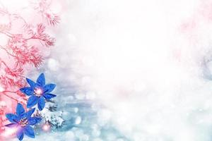 Christmas composition. Card. photo
