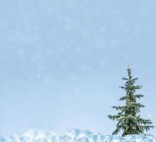 Frozen winter forest with snow covered trees. photo