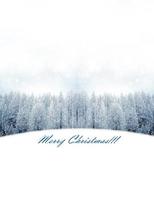 Winter Forest. Winter landscape. Christmas card photo