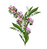 flowering plum and lily of the valley isolated on white background photo