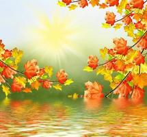 autumn landscape with bright colorful foliage. Indian summer. photo